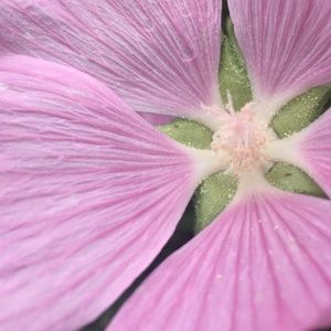 Meet your Posher, Kayt-lynn